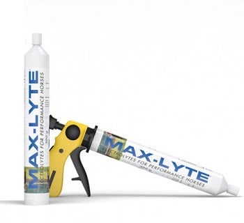 Max Lite Pasta Alimento Complementario Para Equinos Deportivos Jeringa 100g-1