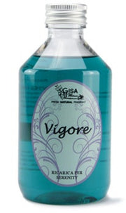 VIGOR 250ML-1