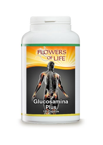 GLUCOSAMINA PLUS 100CPS FLUJO-1
