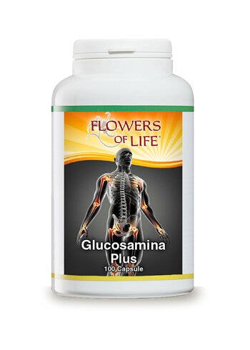 GLUCOSAMINA PLUS 100CPS FLUJO-2