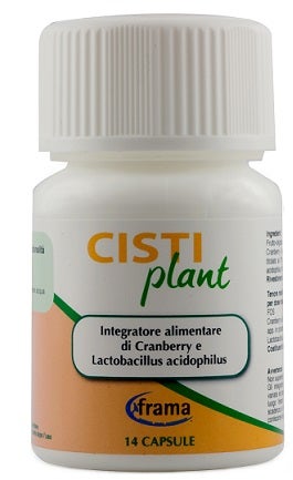 CISTIPLANTO 14CPS 9G-1