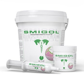 Smigol Equino Jeringa Pasta 100g-1