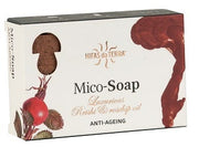 JABON ANTIEDAD REISHI-1