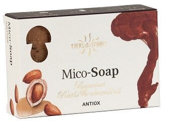 JABON ANTIOX REISHI 150G-2