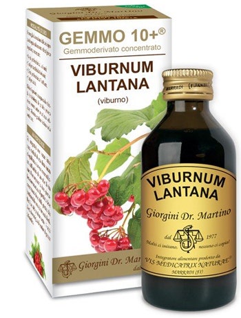 VIBURN LIQ SIN ALCOHOL 100ML-1