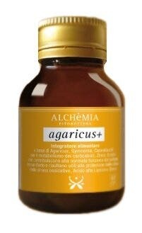 AGÁRICO + 60CPR-2