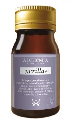 PERILLA + 20CPR-1
