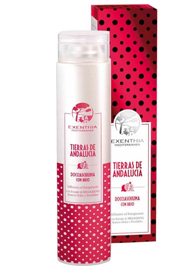 EXENTHIA M NIVEL DE DUCHA ANDALUC-1