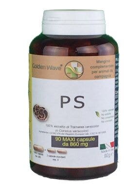 PS 90MAXI CPS-2