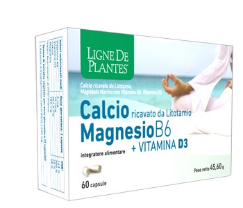 CALCIO + MAGNESIO B6 + VITD3 60CPS-1