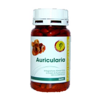 AURICULARIA LINEA BÁSICA 120CPR-1