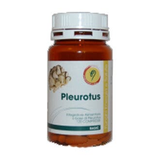 PLEUROTUS LÍNEA BÁSICA 120CPR-2