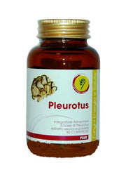 LÍNEA PLEUROTUS PLUS 90CPR-1