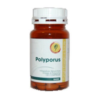 LÍNEA BÁSICA POLYPORUS 120CPR-2
