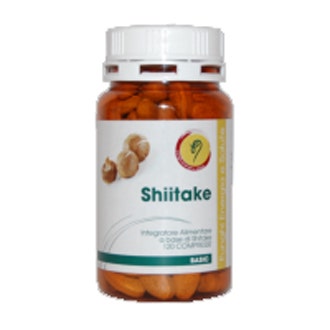 SHIITAKE LÍNEA BÁSICA 120CPR-1