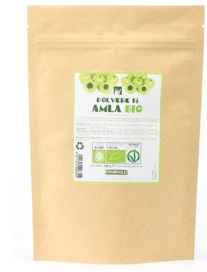 POLVO ORGANICO AMLA 200G-2