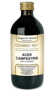 CAMPAMENTO DE ARCE 500ML ANALCO GEM10+-1