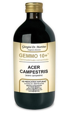CAMPAMENTO DE ARCE 500ML ANALCO GEM10+-1