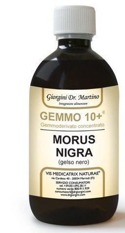 MORA NEGRA 500ML ANALCO GEM10+-1