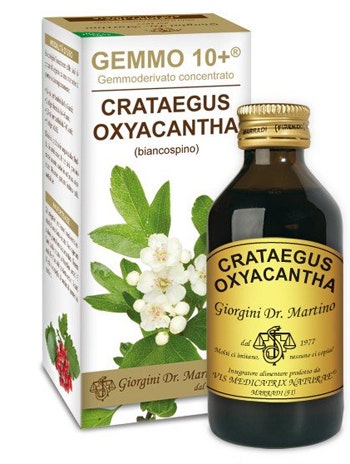 Biancospino Gemmoderivato Concentrado 100ml-1