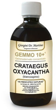 ESPINO ANALCO 500ML GE10+-1