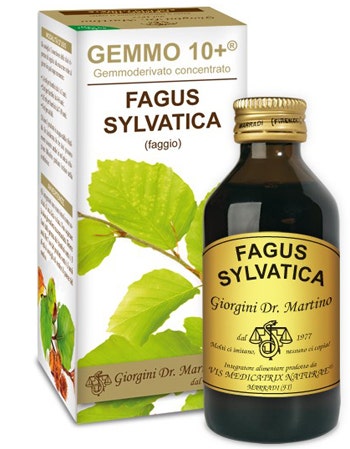HAYA 100ML ANALCO GEMMO 10+-1