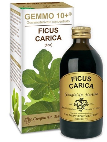 Dr Giorgini Gemmo 10+ Higo Líquido Sin Alcohol 200ml-1