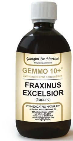CENIZAS 500ML ANALCO GEMMO10+-1