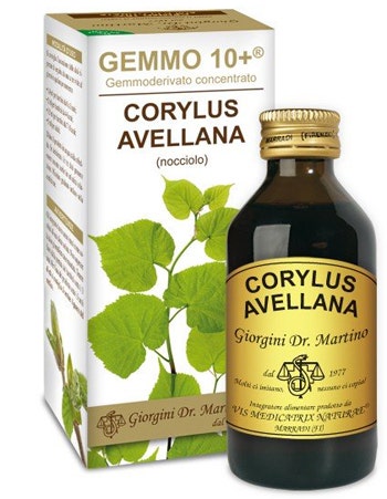 AVELLANA 100ML ANALCO GEM 10+-1