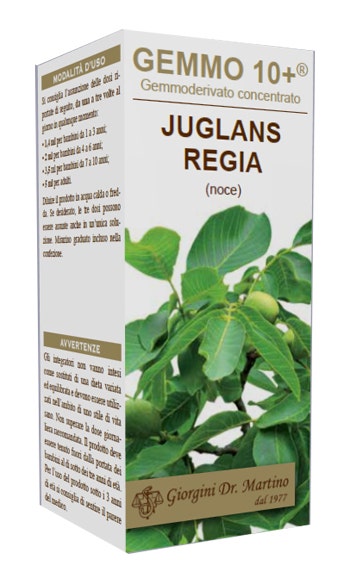 Gemmo 10+ Nuez Líquida Sin Alcohol 100ml-1