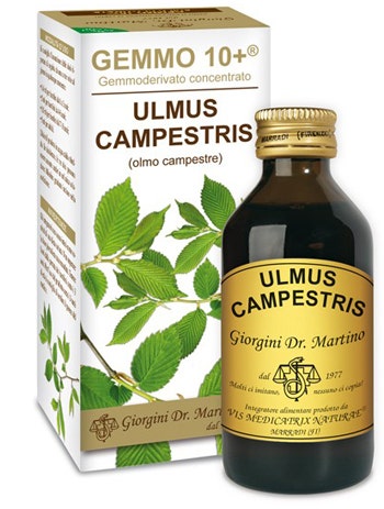 ELM CAMP 100ML ANALCO GEMM10+-1