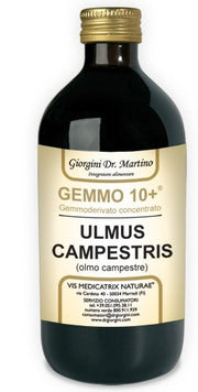 ELM CAMP 500ML ANALCO GEMM10+-1