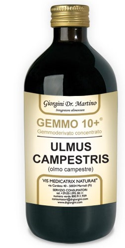 ELM CAMP 500ML ANALCO GEMM10+-1