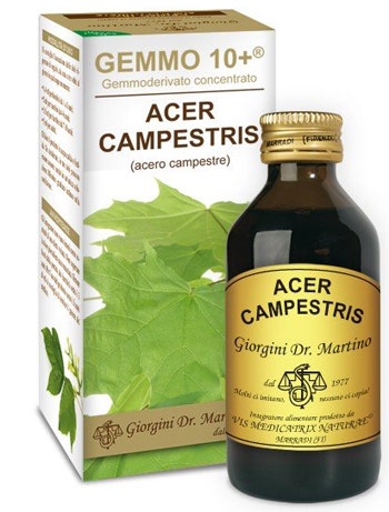 CAMPAMENTO DE ARCE 100ML ANALCO GEM10+-1