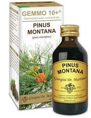 Extracto concentrado de cogollos de Pinus Montana 100ml-1