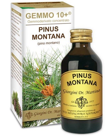 Extracto concentrado de cogollos de Pinus Montana 100ml-1