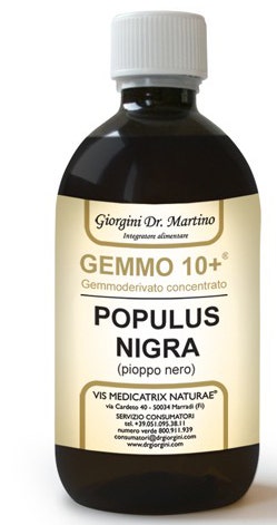 ÁLAMO NE 500ML ANALCO GEMM10+-1