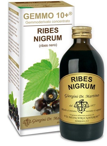 Gemmo 10+ Líquido Sin Alcohol Grosella Negra 200ml-1
