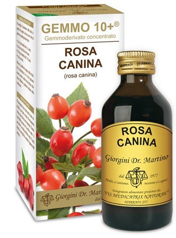 Dr Giorgini Gemmo 10+ Rosa Canina Líquido sin alcohol 100ml-1