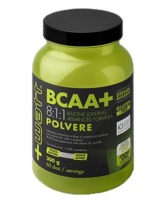 BCAA + 811 MANZANA EN POLVO 300G-1