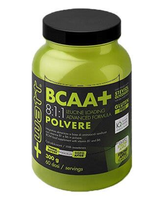BCAA + 811 MANZANA EN POLVO 300G-2