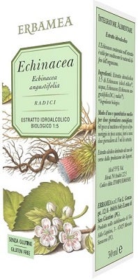 EQUINACEA ANGUSTIFOLIA 50ML-1