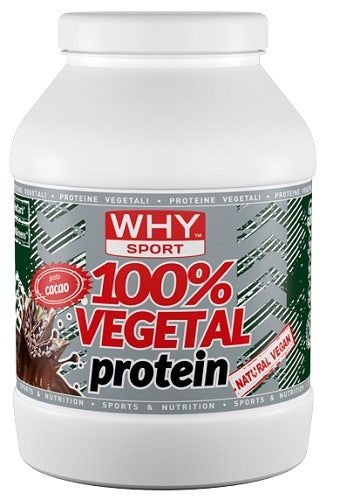 Why 100% Vegetal Protein Cacao 750g-1