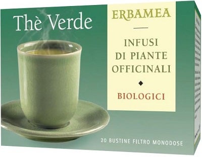 FILTRO DE TÉ VERDE 20BUSTO-1