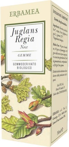 JUGLANS REGIA NUEZ BIO 50ML-1
