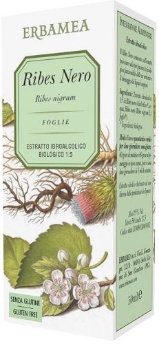 GROSELLA NEGRA 50ML-1