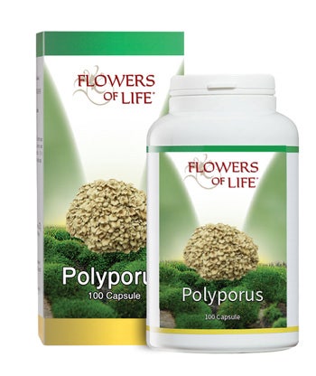 POLYPORUS 100CPS-1