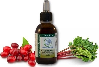 PB ENTEROVIS GOTAS 50ML-2