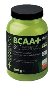 BCAA + 811 NARANJA EN POLVO 300G-1