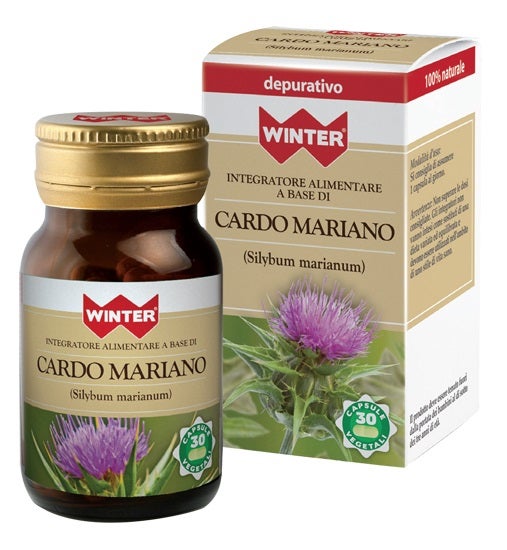 INVIERNO CARDO MARIANO 30CPS VEGETAL-1